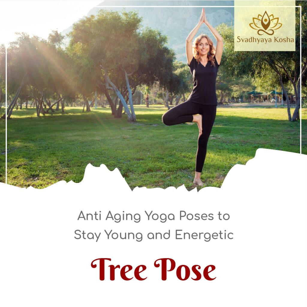 9 Anti-Aging Yoga Poses to Stay Young and Active